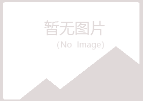 青岛崂山迷失批发有限公司